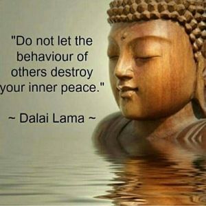 Meet your Posher, Shanon